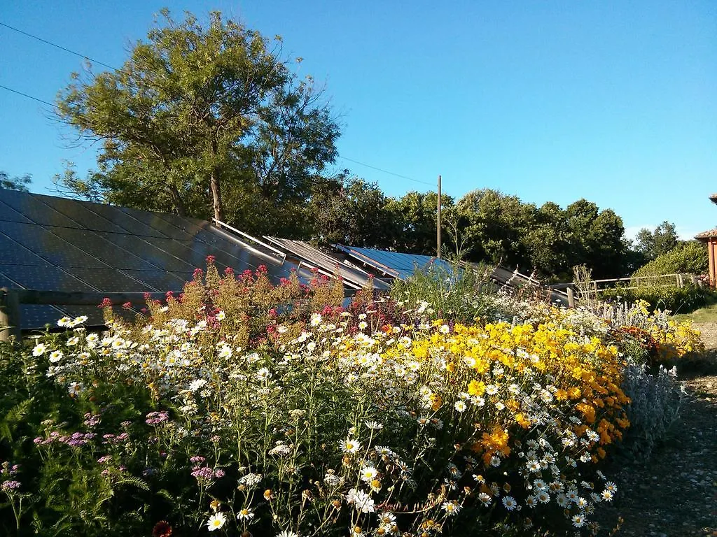 Farm stay Borgo Campetroso Villa Suvereto